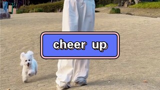 小狗你也要cheer up吗