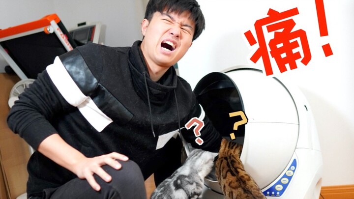 A 5,000 yuan automatic poop scooper can actually kill a cat! [Unrelated text follows]
