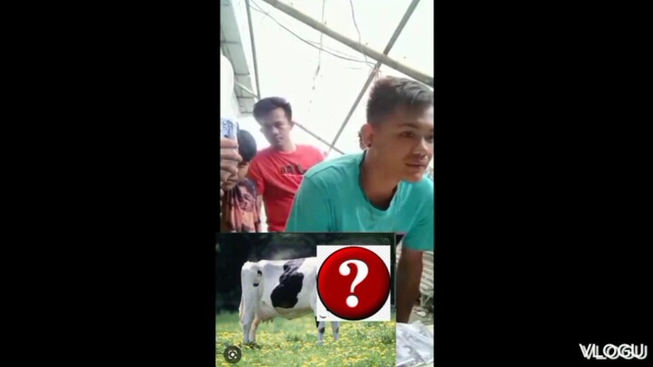 guest the animal logo 😜😂