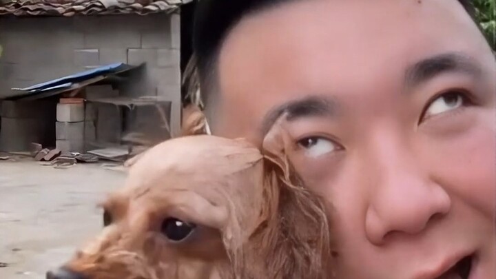 แชร์สุนัข 8 สายพันธุ์ต่างกัน มาดูกันว่าคุณรู้จักกี่ชนิด!