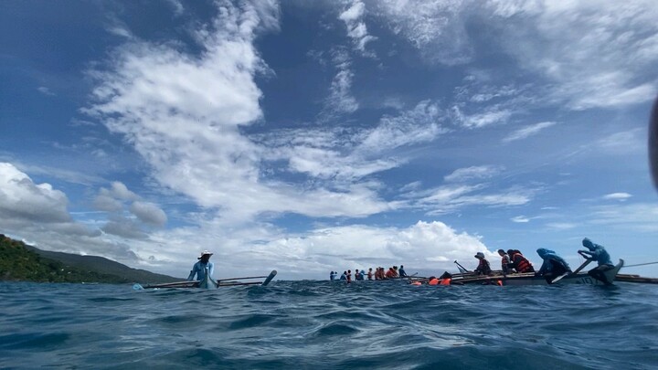 oslob cebu whaleshark view