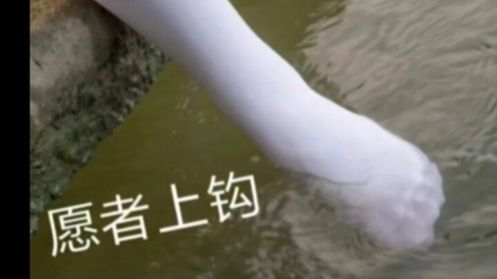 ภาพไว้อาลัยประจำวัน #213