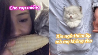 Cho Cạp 1 Miếng, Uy Tín Luôn | Boss Béo