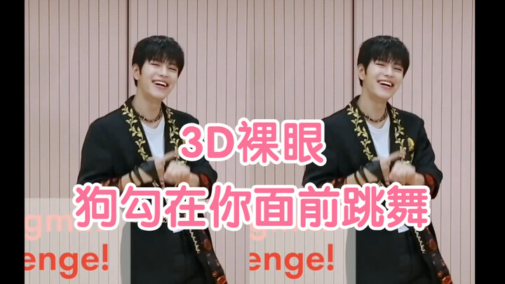 【3D tanpa kacamata｜Kim Seungmin】Anjing kecil menari di depanmu～