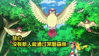 大木博士：小智，我发现常磐森林有很大的问题！