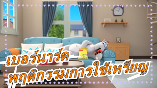 เบอร์นาร์ด-พฤติกรรมการใช้เหรียญก็มีอยู่ในอนิเมะเรื่องนี้เช่นกัน