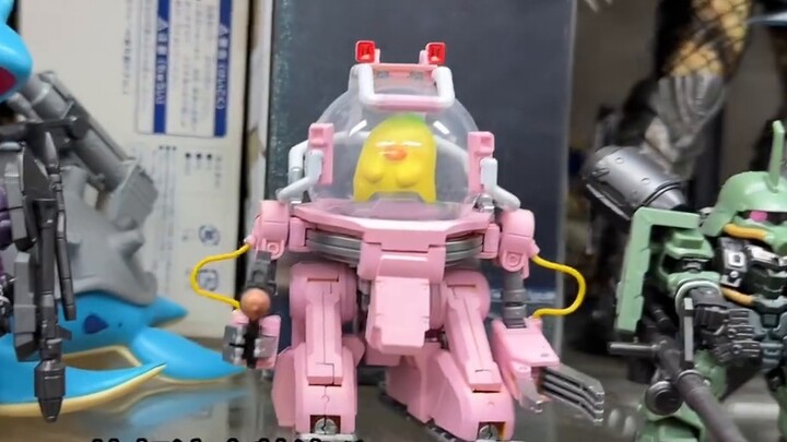 [Exploring the store and playing with pig models] Boss, the density of Gundams here is off the chart