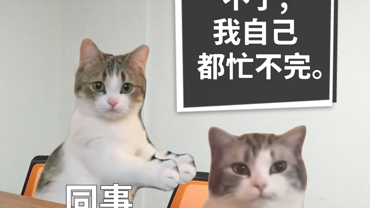 How Post-00s Imagine Their First Day at Work