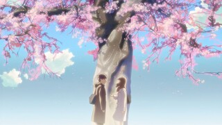 "การพบกันอาจไม่มีวันสิ้นสุด แต่มันจะมีความหมายอย่างแน่นอน" [ชินไค มาโคโตะ]