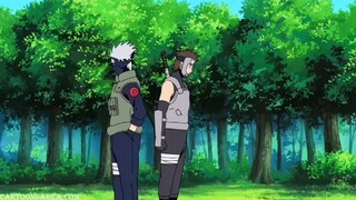 NARUTO SHIPPUDEN