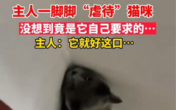 The owner "abuses" the cat with repeated kicks, but unexpectedly, it turns out to be what the cat wa