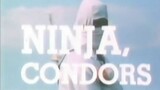 ninja condors