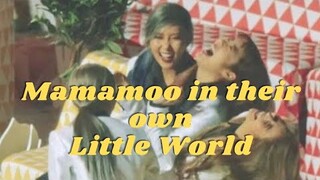 Mamamoo in their own little world