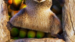 الانهيار غالبا ما يستغرق لحظة واحدة فقط