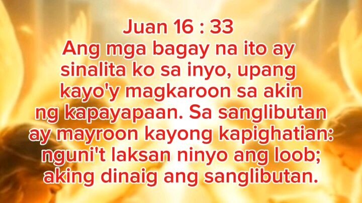 Juan 16 : 33