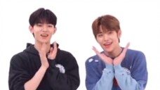 haorae