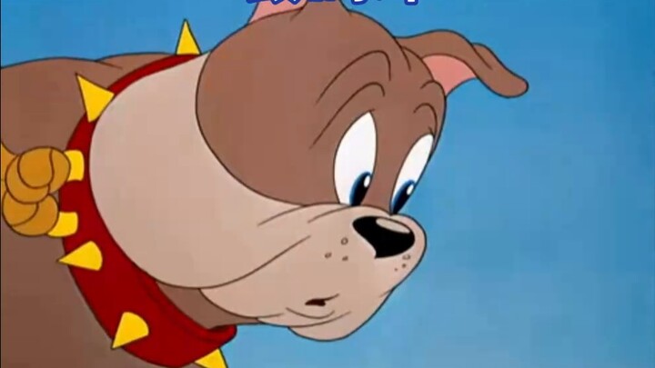 Use [Cat and Mouse Team] to tell you the importance of public opinion warfare