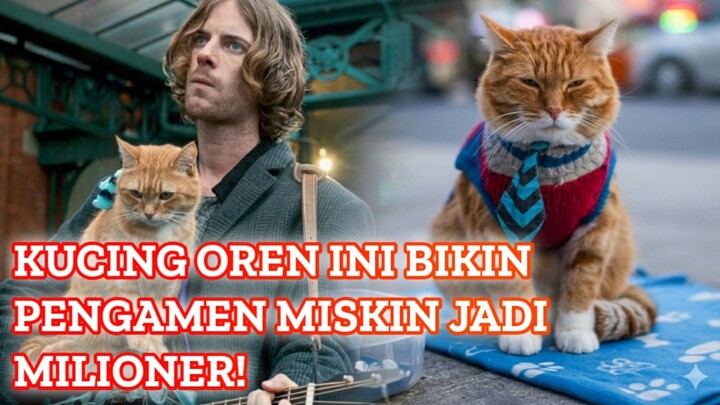 Kucing Oren Ini Mengubah Hidup Pengamen Jalanan Menjadi Kaya
