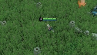 当峡谷长满了草……