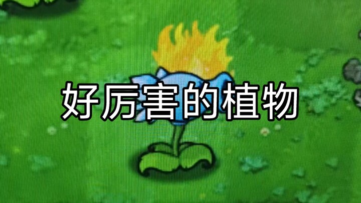 Bahkan sampah pun punya impian!