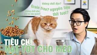 Hạt cho mèo thế nào mới là tốt cho sức khỏe của chúng? | Dayspet