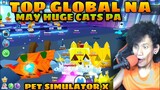 Top Global Na May Huge Cats Pa! ANLUPET! | Pet Simulator X | Roblox Tagalog