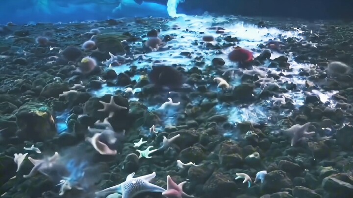 “Kiệt tác của thiên nhiên” Cột băng tử thần