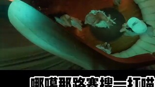 Tập đầu tiên của Kpop quiz