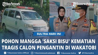 Kronologi Calon Pengantin Tewas Tragis Saat Hari Pernikahan di Wakatobi, Pohon Mangga 'Saksi Bisu'