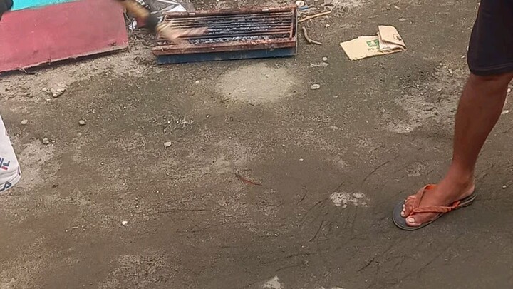 spar muna ng mga stag