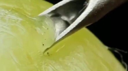 请认真看，仔细听...#解压 #微距