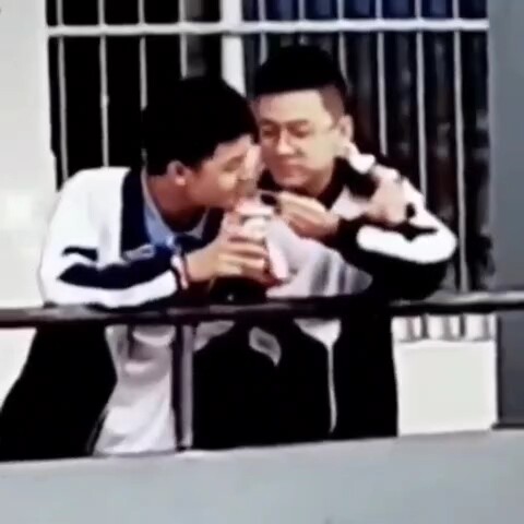 两情若是长久时，又岂是男男女女
