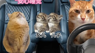 คุณพ่อขับรถ VS คุณแม่ขับรถ