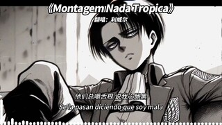 [AI Levi Pure Edition] "มอนทาเจม นาดา ทรอปิก้า"
