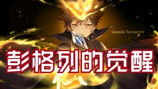 【家庭教师 超燃】彭格列的覚醒/沢田纲吉超燃集锦