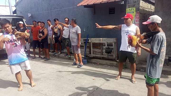 lamang talo tlga pag nahulog ang manok