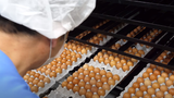 Nhà máy thu hoạch & chế biến trứng tuyệt vời của Hàn Quốc | Food Kingdom