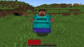 I'm adding a big pocket to Minecraft #Minecraft #MC #Minecraft Mod