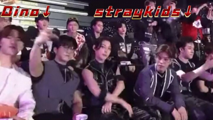 Dino bị staff từ Stray Kids đẩy trở về SEVENTEEN