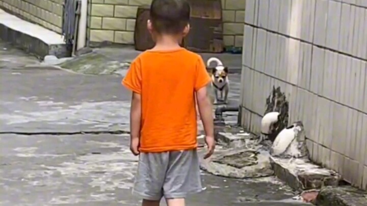 “人类幼崽倒霉时刻”