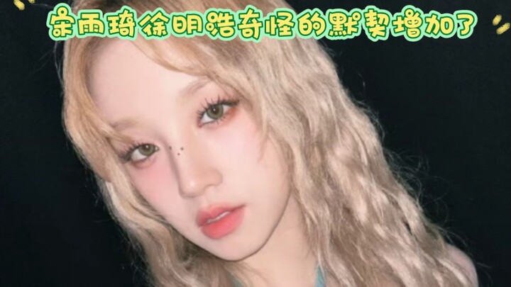 宋雨琦徐明浩奇怪的默契增加了