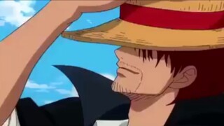 [ONE PIECE] đồng đội..❤️ || #anime #onepiece