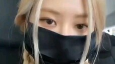 210917 roses_are_rosie