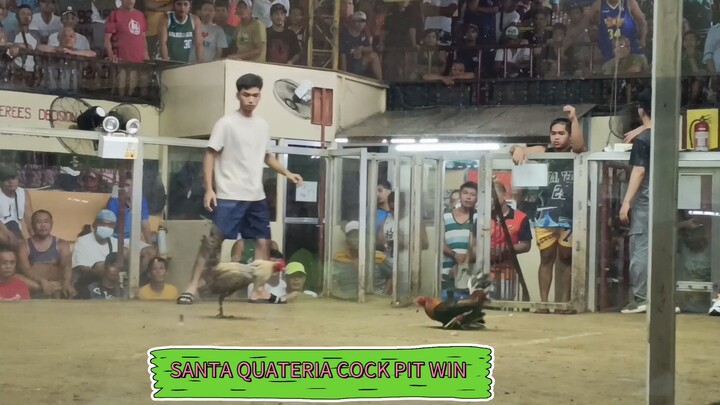 1x win si banderahan