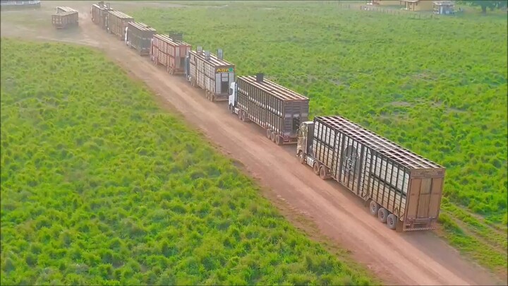 FAZENDA COM 214 ALQUEIRÃO A VENDA cmc