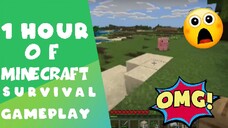 1 Hour of Minecraft Survival Gameplay