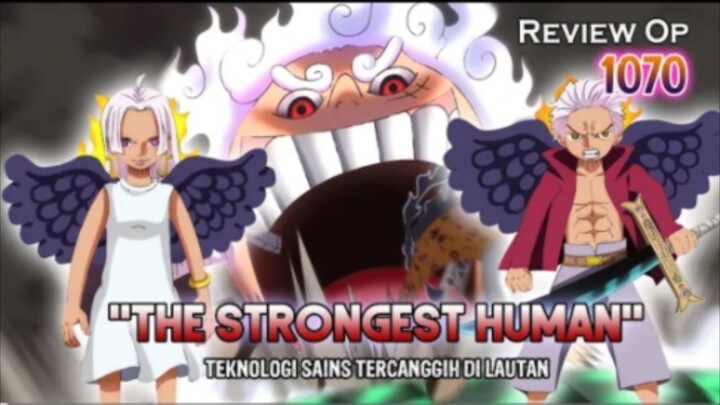 REVIEW OP 1070 - "THE STRONGEST HUMAN" | BATTLE ROYAL AKAN SEGERA DI MULAI | SAATNYA PEMBALASAN!!