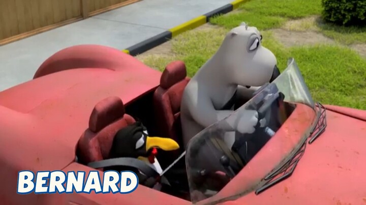 BERNARD BEAR || DRIVING CLASS - CARTOON CHILDREN