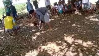 Fun run