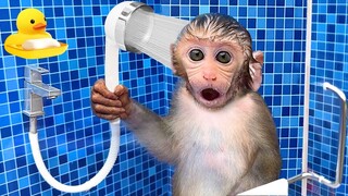 Monkey Baby Bon Bon oes to the toilet and eats fruit with puppy and duckling at the pool